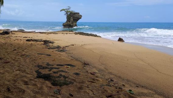 Puerto Viejo Talamanca: escursione attraverso il rifugio Gandoca Manzanillo Wild Life.
