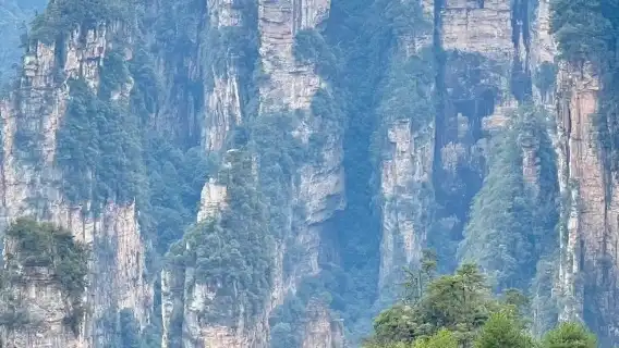 장자제 인기 관광지 3곳을 2일 동안 프라이빗 투어로 즐기기 - 대협곡+천문산+산림공원 - 깊이 있는 여행 - 전문 가이드 - 재미있는 해설 - 효율적인 관광