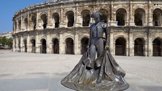 Da Aix: gita di un giorno ad Arles, Saint Rémy e Les Baux Provenza