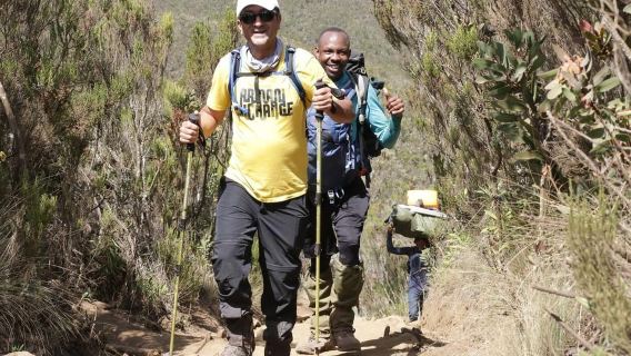 Jelajahi 7 Pendakian Terbaik Lemosho di Kilimanjaro