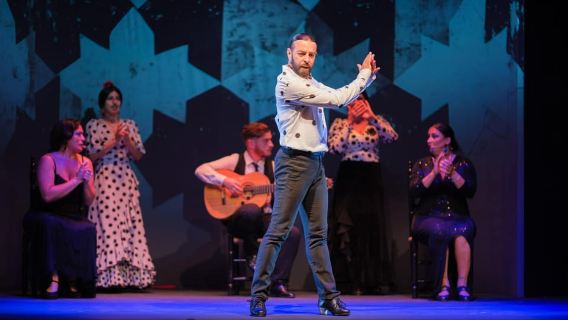 Granada: Spettacolo di Flamenco "Sensaciones" al Teatro Flamenco di Granada