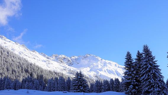 挪威特羅姆瑟-Senja島中文跟團【豪華跟團1人可定】