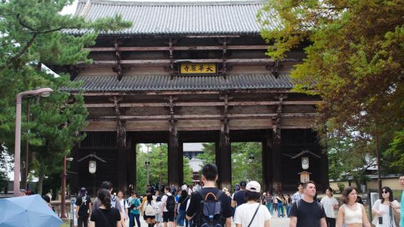 Nara: Private Walking Tour from Osaka
