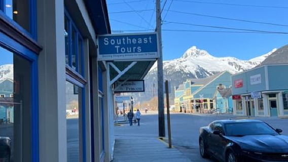 Skagway: Yukon Dog Mushing & Sightseeing Tour