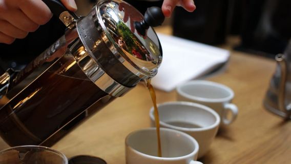 Medellin: Laboratorio di preparazione del caffè Avoeden Café