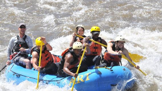 Cañon City : excursion d'une demi-journée en rafting dans le canyon du mouflon d'Amérique