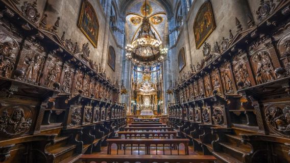 Lugo: Entrada a la Catedral de Santa María y audioguía