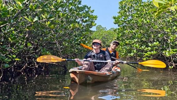 Iriomote: Mangrove SUP atau Canoe dan Yubujima bersiar-siar