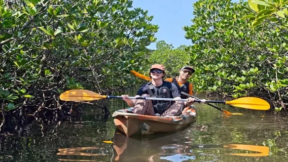 Iriomote: SUP atau Kano Mangrove dan tamasya Yubujima