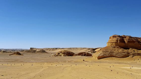 Egypt 1-day tour: Al Fayyum Oasis + Wadi Hitan National Park (Desert + Sandboarding + Waterfall + Multilingual Guide)