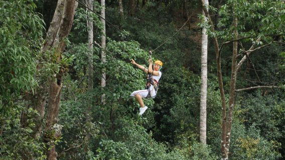清邁飛躍叢林+巨樹咖啡+溫泉公園一日遊（中文司機包車行）