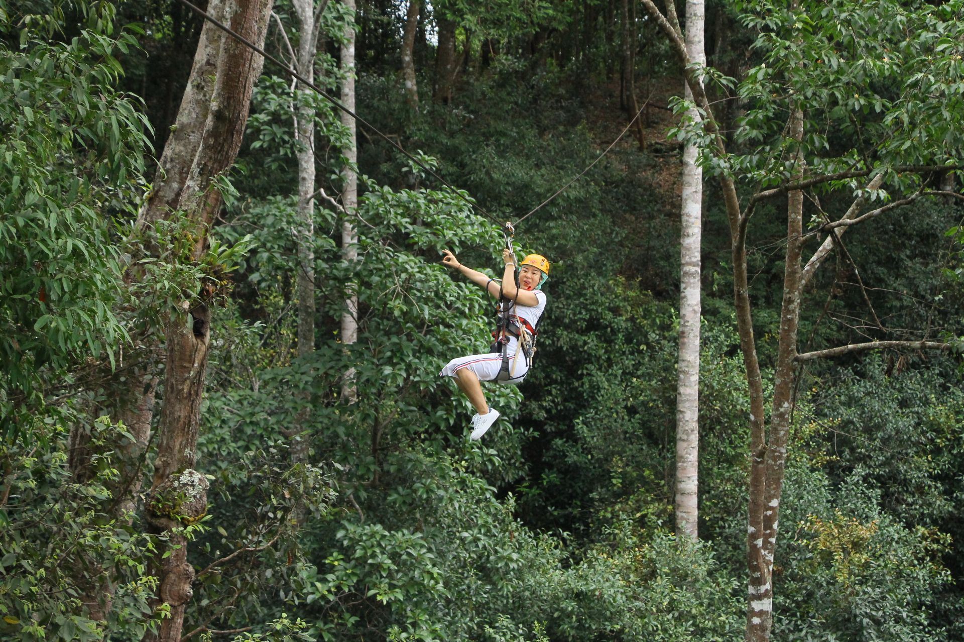 清邁飛躍叢林+巨樹咖啡+溫泉公園一日遊（中文司機包車行）