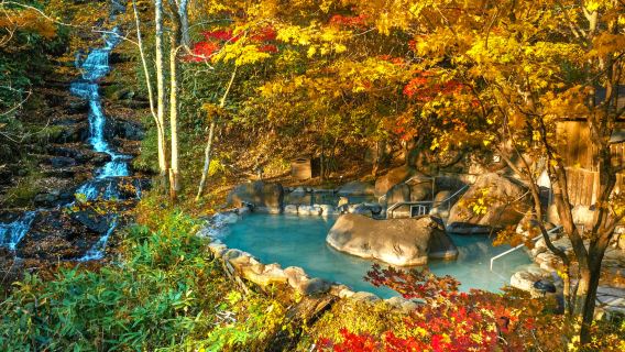 日本青森県奥入瀬渓流＋十和田湖＋八甲田山ワンデーツアー：青森発