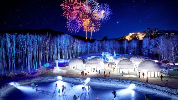 รถบัสความเร็วสูงตรงจากท่าอากาศยานชิโตะเซะแห่งใหม่ไปรีสอร์ทโทมามุ ฮoshino ซัปโปโร