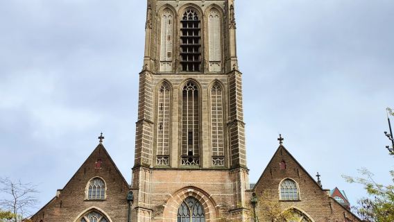 [Netherlands] Rotterdam + Delft + Hague - 3 Cities in 1 Day|Adjustable itinerary