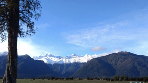 紐西蘭基督城+蒂卡波湖+普卡基湖可定制【中文專車-愜意舒適】