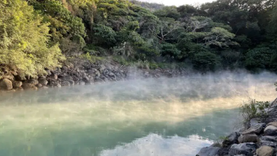 1-day tour to Qingtiangang Grassland, Beitou and Yangmingshan with hotel transfer