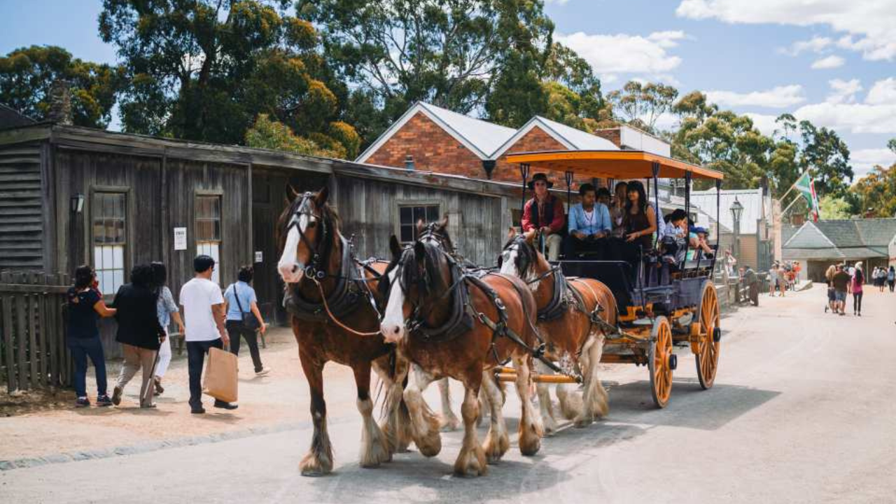 Sovereign Hill + Ballarat Wildlife Park day tour