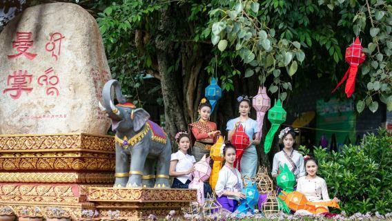 【一單一團不拼車】雲南西雙版納野象谷+曼掌村一日遊