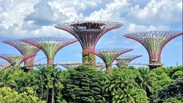 【新加坡一日遊】烏節路+魚尾獅公園+新加坡濱海灣花園+夜間動物園