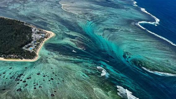 Однодневный тур в парк птиц Касела и бухту Тамарин с водопадом под водой на Маврикии