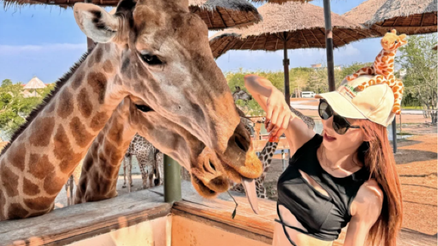 ทัวร์ 1 วันด้วยรถส่วนตัวที่ซาฟารีเวิลด์ กรุงเทพฯ: เลือกไกด์นำเที่ยวภาษาจีนได้ สนุกสนานเหมาะสำหรับครอบครัว