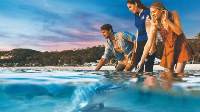 Eendaagse tour naar Moreton Island in Brisbane, Australië [Dolfijneneiland|Kies 1 uit 5 projecten