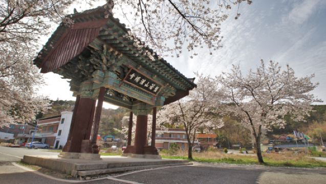 ソウル発：論山いちご桜祭り体験 + 灌燭寺 + 陽光の地