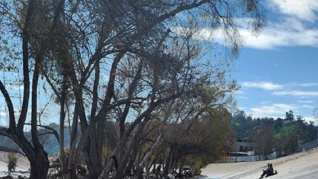 LA River Eco Tour and Secret Stair Hike