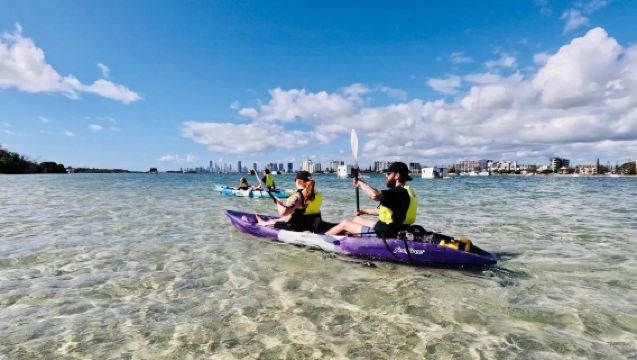 Kayaking 2 hr [Gold Coast Broadwater Dolphin Kayaking & Snorkeling Experience (approx. 2 hr)]