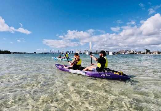 Kayaking 2 hr [Gold Coast Broadwater Dolphin Kayaking & Snorkeling Experience (approx. 2 hr)] AUD 88.19