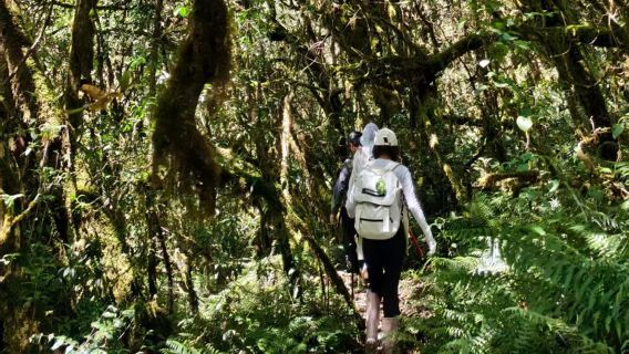 Mendaki Hutan Bulu Gaoligong 3-9KM + Kumpulan 8 Orang + Hot Spring + Pilihan Dapur Liar