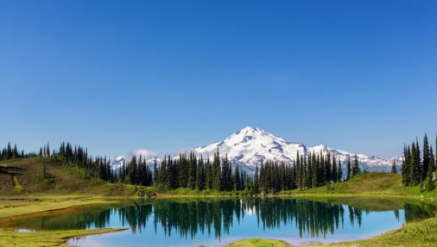 雷尼爾山國家公園包車一日遊•中文司導|包車遊