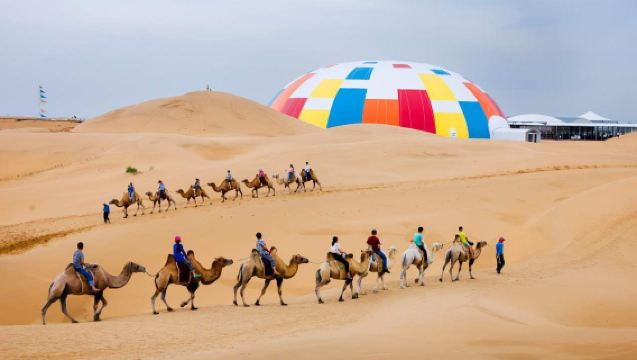 Ordos, Inner Mongolia: 1-Day Private Charter Tour to Top Attractions | Customizable Itinerary