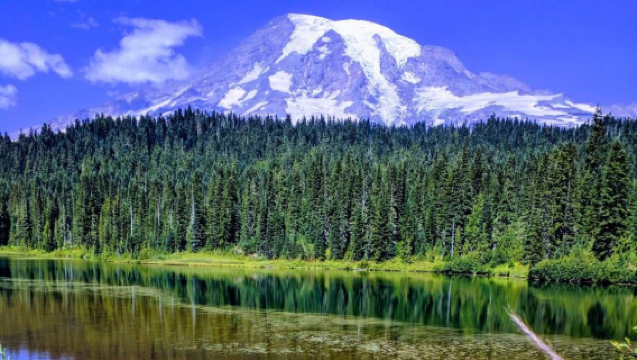 美國西雅圖來回-雷尼爾山國家公園一日遊【中文包車自由行】
