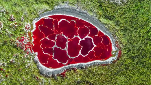 阿拉善左旗騰格裡沙漠六湖穿越一日遊/拼團遊/包車遊/親子遊