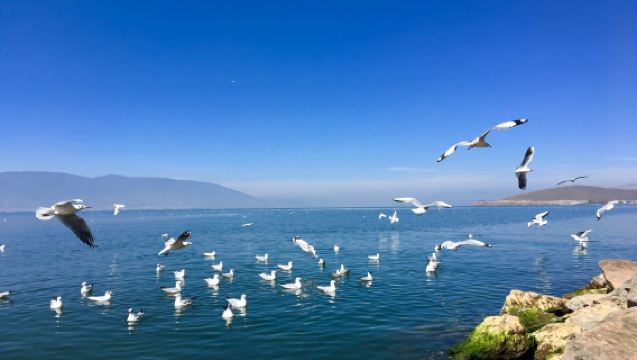 Self-guided tour around Erhai Lake: Choose any attraction, stop as you go, and discover the scenery of Dali