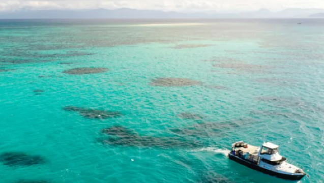 Австралия: Опыт морской рыбалки на Большом Барьерном рифе в Кэрнсе [аренда лодки на группу + подходит для семей с детьми + цель - поймать такие виды, как коралловая форель, красный император, большеротый морской карась]