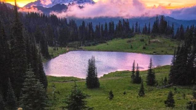 Pelukan Alam | Seattle - Gunung Rainier [Sewaan Peribadi Eksklusif Disesuaikan]