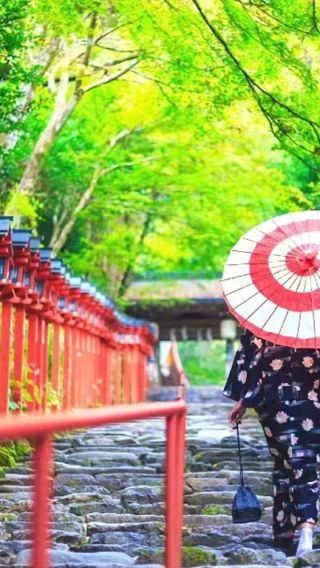 京都嵐山＋貴船神社＋三千院ワンデーツアー 嵐山トロッコ列車オプション可｜13名団体