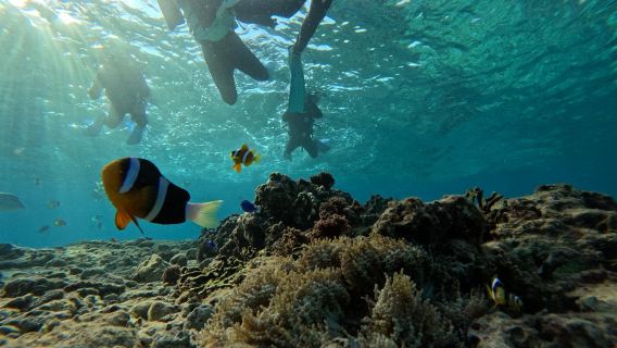 Snorkelen in de Blue Grotto: Strandtoegang