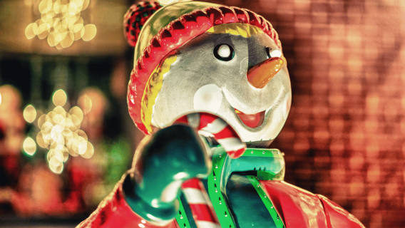 Da Manhattan: Tour delle Luci di Dyker Heights e dello Skyline