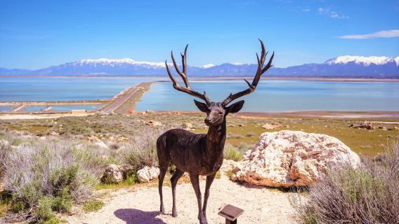 Salt Lake City Bonneville Salt Flats + Pulau Antelope Taman Negeri lawatan sehari [Cermin Langit Salt Lake City]
