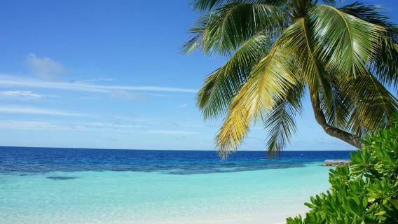 Antigua: Land Beach Hopping Tour