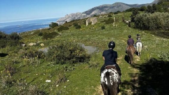 Carini: Horseback ride near Palermo in unspoiled nature