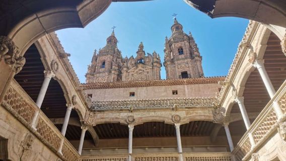 Salamanca: Monuments and Landmarks Guided Walking Tour