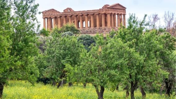 Valley of the Temples and Villa Romana Multi-Language Tour