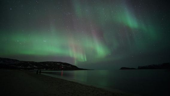From Tromsø: Aurora Bus Tour with Snacks, Photos, and Drinks