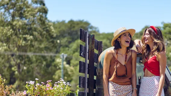 Tour guiado de vinhos no Vale do Cisne | Perth, Austrália | Múltiplos pacotes disponíveis ※