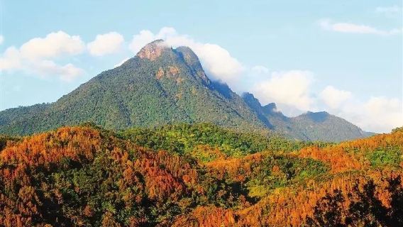 三亞|海口+五指山水滿河熱帶雨林風景區+毛納村1日遊（真純玩|無套路）